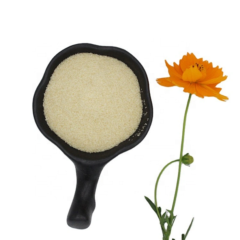 food additives food gelatin Professional gelatin halal with low price supplier gelatin